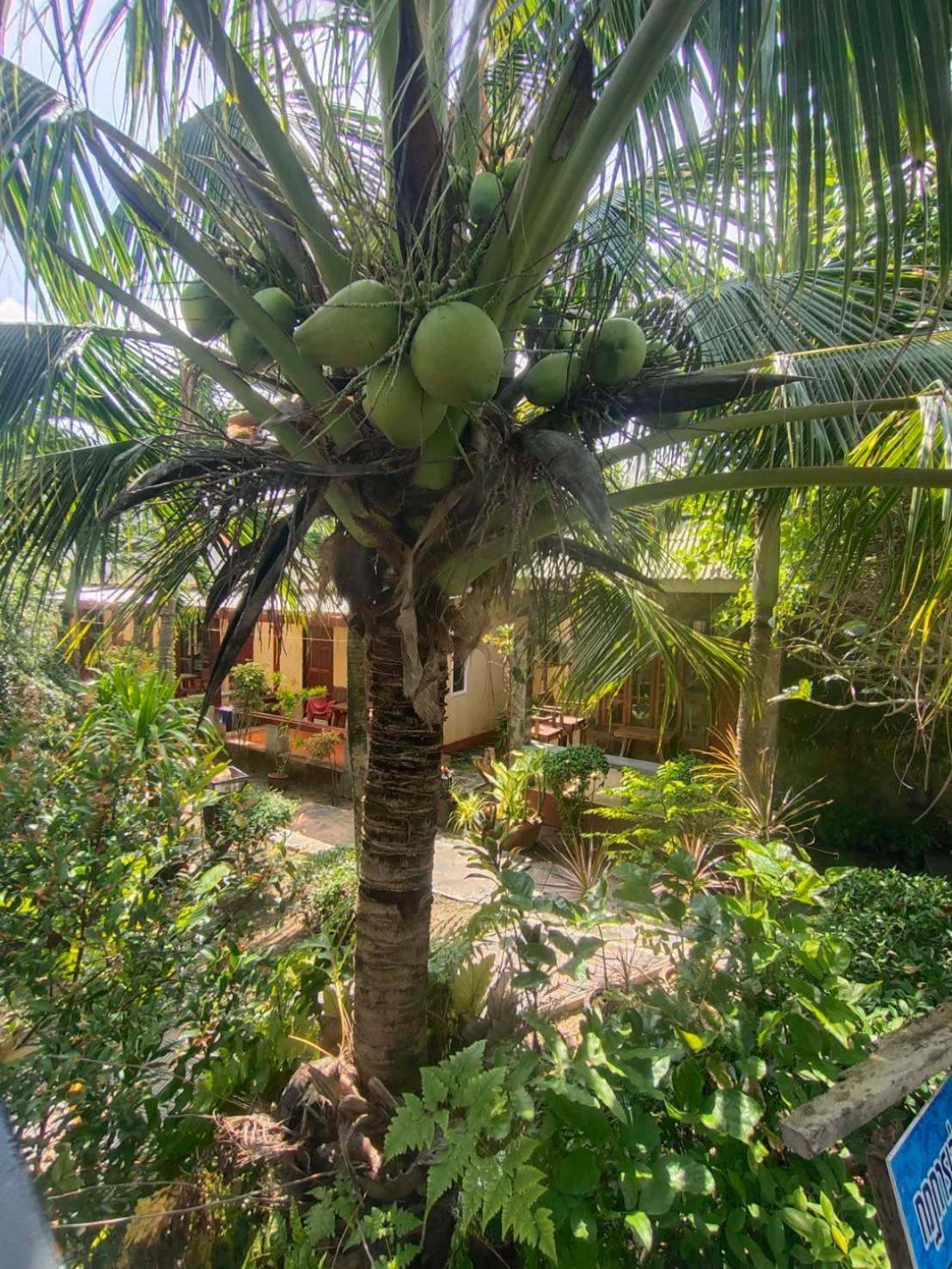 Lanta Riviera Resort - SHA Plus Ko Lanta Exterior foto